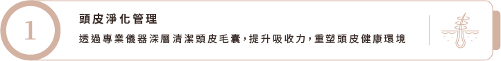 頭皮淨化管理