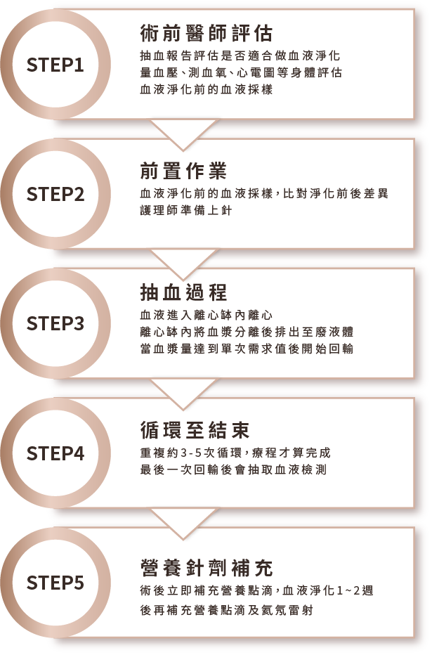 MCS+血液淨化流程