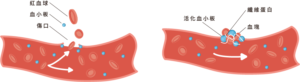 血小板功能