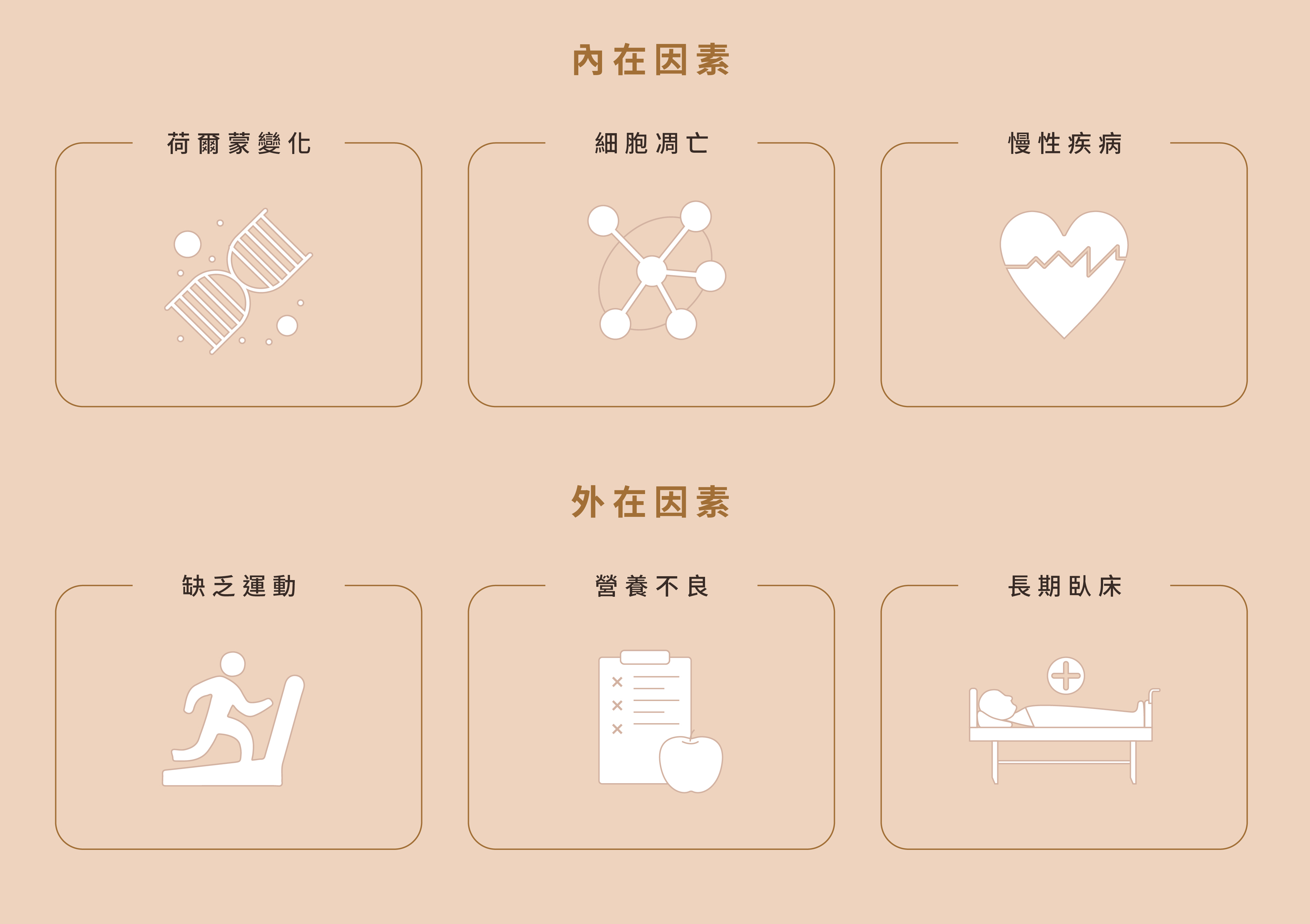 肌少症造成原因