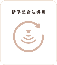 精準超音波導引
