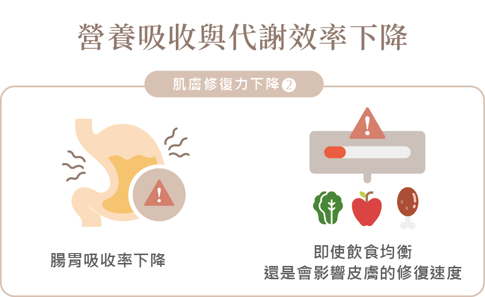 35 歲後皮膚修復變慢?不是保養品不夠,而是身體狀態改變了-07.png
