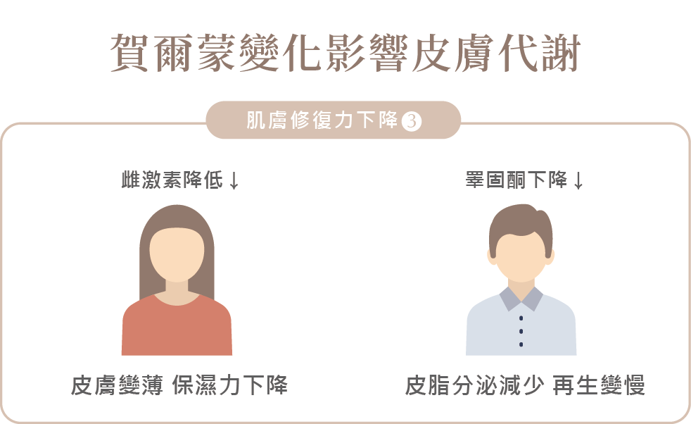 35 歲後皮膚修復變慢?不是保養品不夠,而是身體狀態改變了-08.png